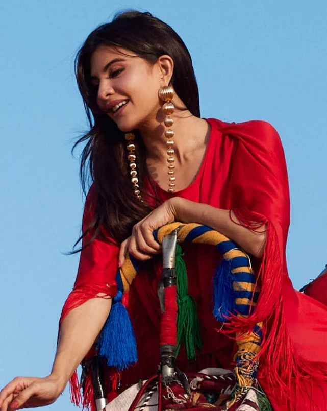 Maxima Shoulder Dusters - Image 4